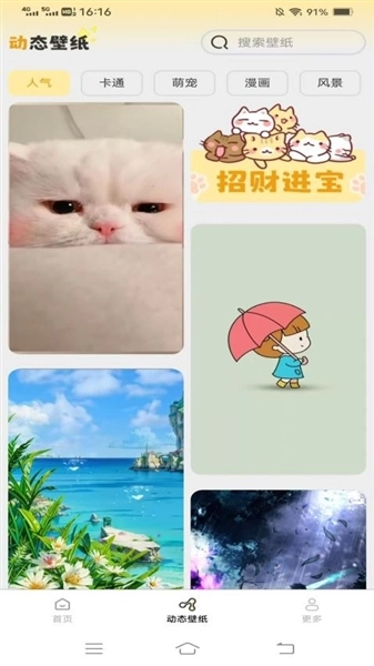 壁纸有宝-图3