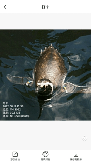 打卡定位软件图2