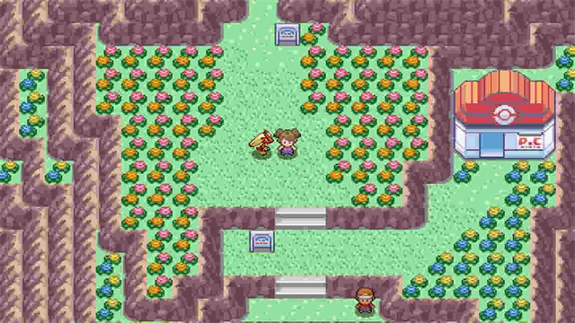 PokeMMO(5)
