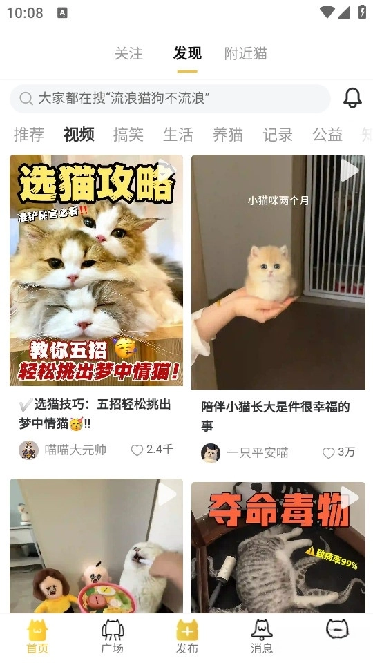 友猫最新版图2