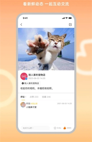 宠业家
