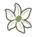 azaharplus模拟器官方正版