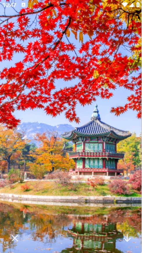 神图壁纸精灵软件安装手机版