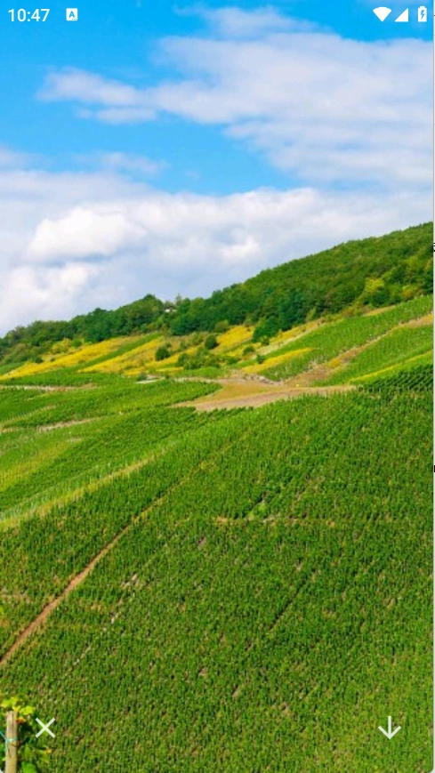 神图壁纸精灵软件安装手机版