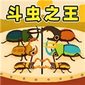 虫王争霸赛