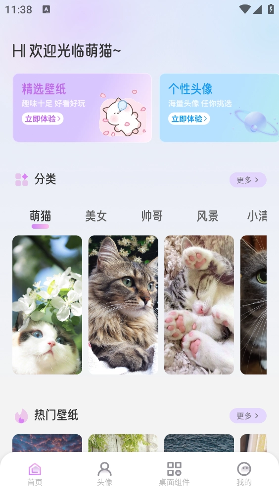 萌猫派对壁纸安装最新版图4
