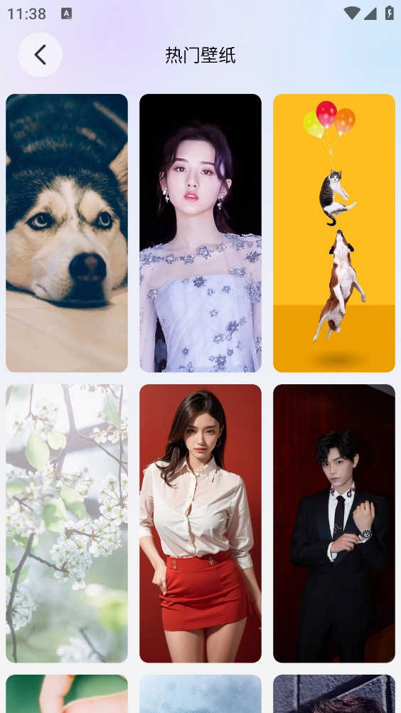 萌猫派对壁纸安装最新版图3