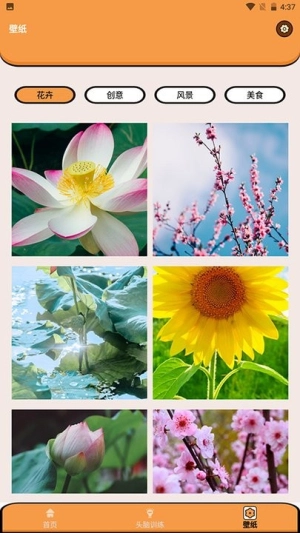 超能王国找茬(4)