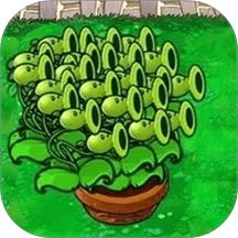 疯狂植物保卫战