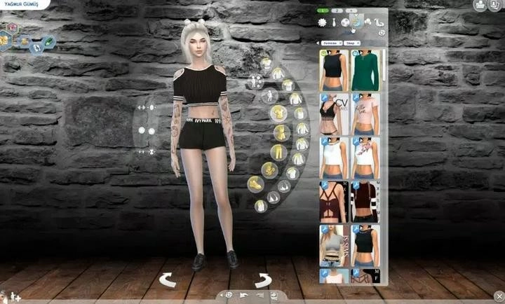 模拟人生4仿制版(1)