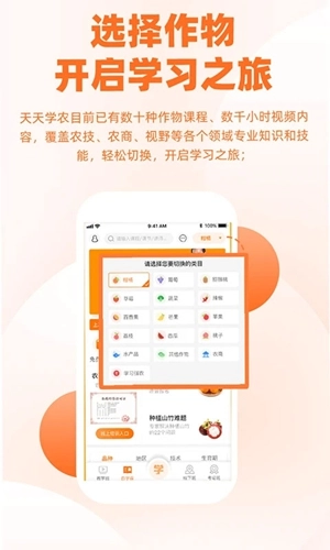 天天学农-图2