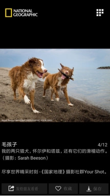 国家地理免费版(1)