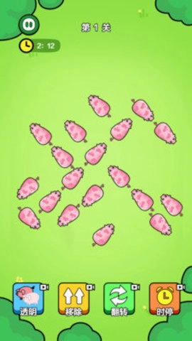 一飞冲天的猪仔游戏