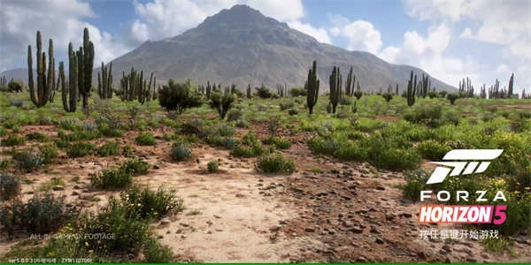 极限竞速地平线5(2)