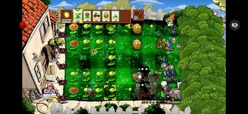 植物大战僵尸95版