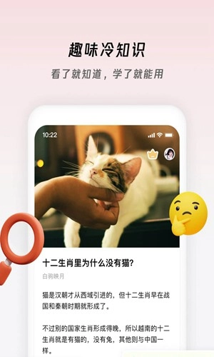 章鱼小百科