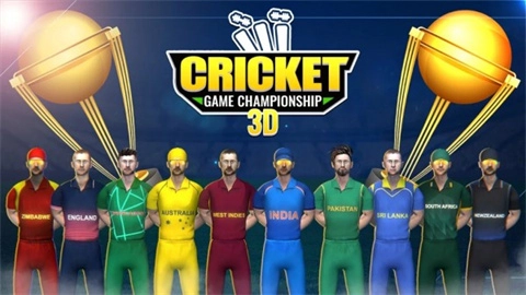 板球比赛冠军3D（Cricket Game Championship 3D）1