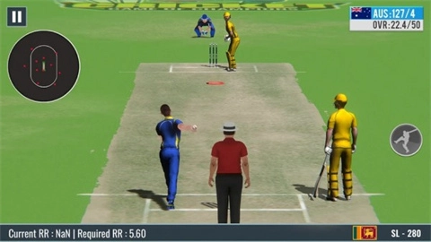 板球比赛冠军3D（Cricket Game Championship 3D）2