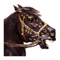 骑马与砍杀(M&B: Warband)直装游戏版