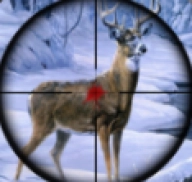 荒野猎人3D（Sniper Animal Shooting 3D）游戏官方最新版