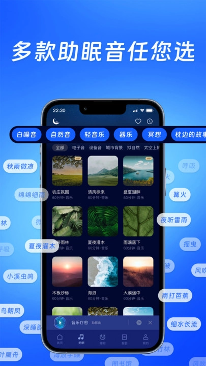 松鼠睡眠图3