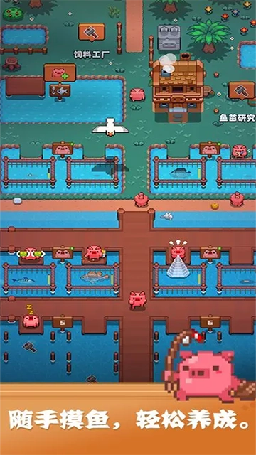 开拓猪之岛游戏官方版(1)