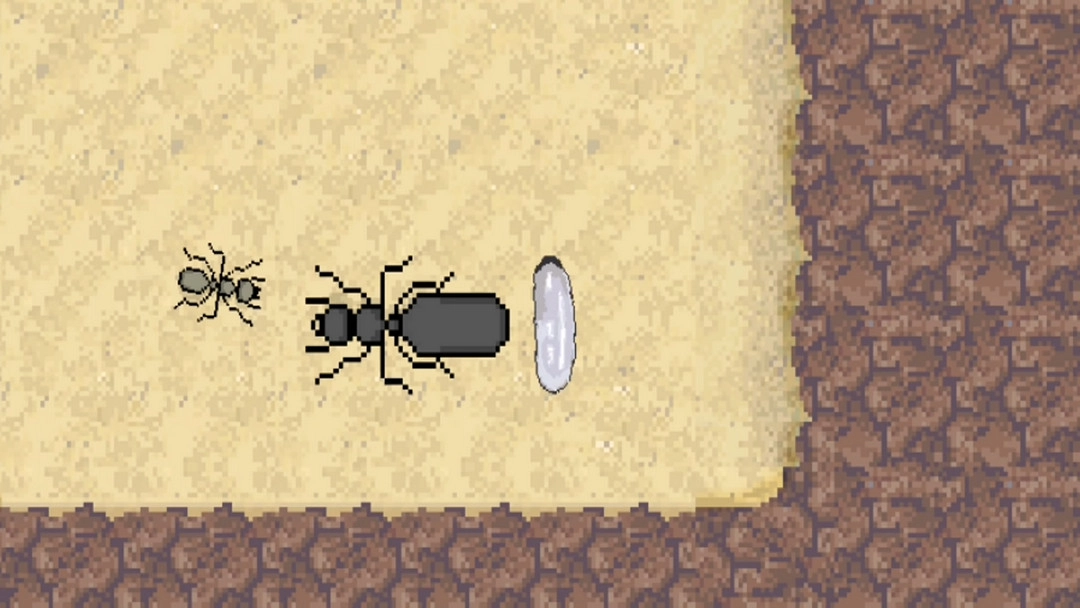 蚂蚁模拟器游戏