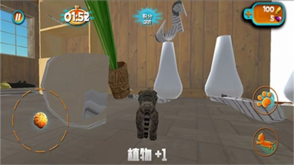 奶奶贴心小猫游戏3