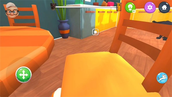 奶奶贴心小猫游戏4