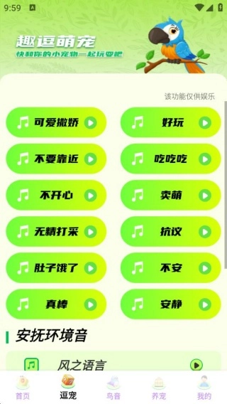 鹦鹉翻译助手