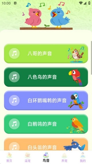鹦鹉翻译助手