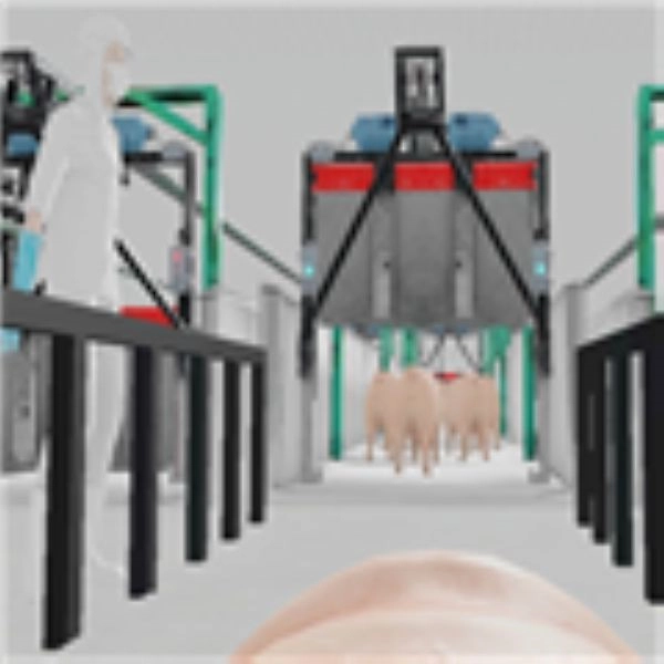 小猪的一生模拟器