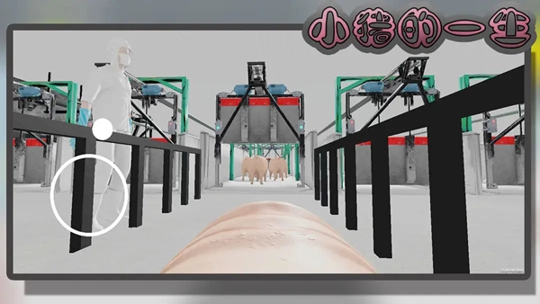 小猪的一生模拟器