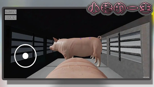 小猪的一生模拟器