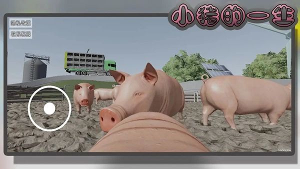 小猪的一生模拟器