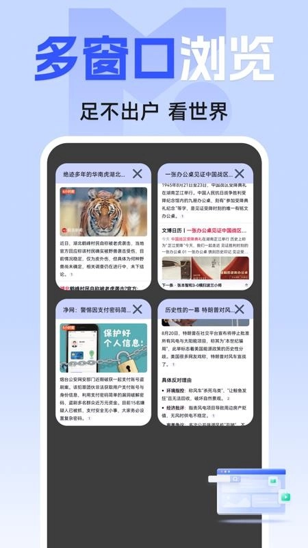 私密隐身浏览器(2)