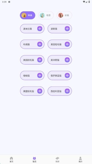 逗喵翻译玩具