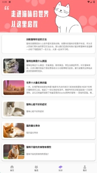 逗喵翻译玩具