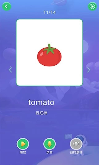 英语早教安卓版图4