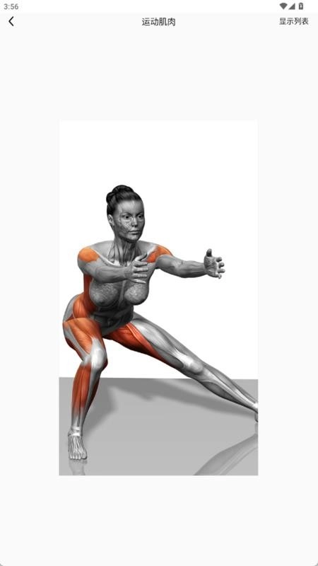 疼痛触发图谱最新版