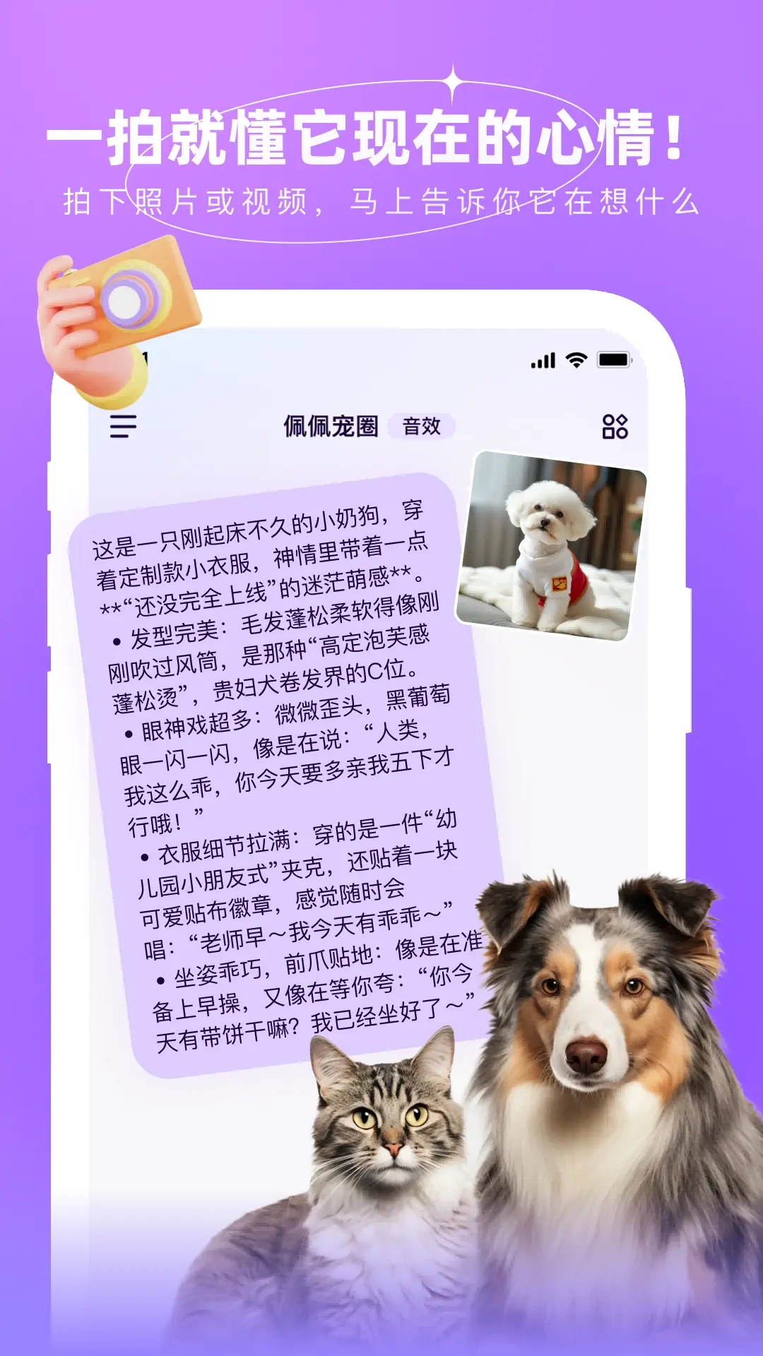佩佩宠圈图5