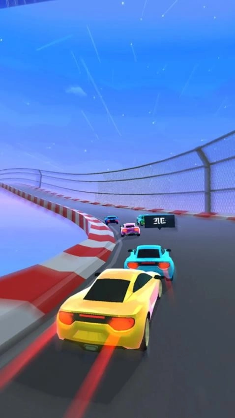 王牌赛车驾驶游戏(1)