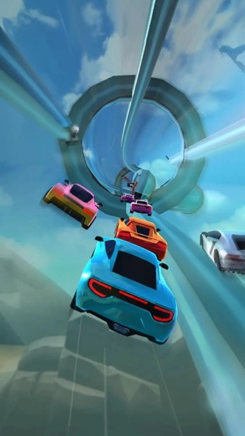 王牌赛车驾驶游戏(3)