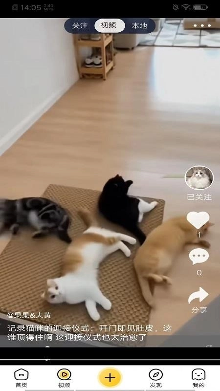 养宠汇图3