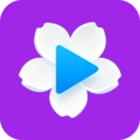梨花视频播放器 V1.0.0
