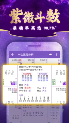 紫微斗数排盘正版图3