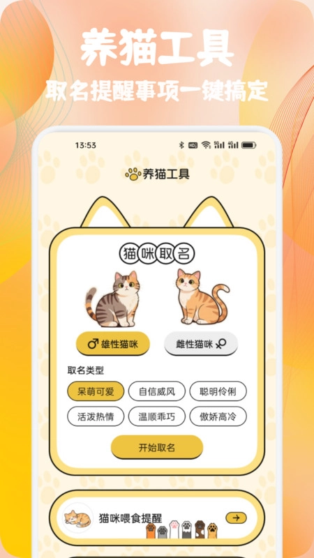摘星猫喵语