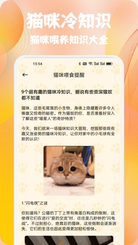 摘星猫喵语