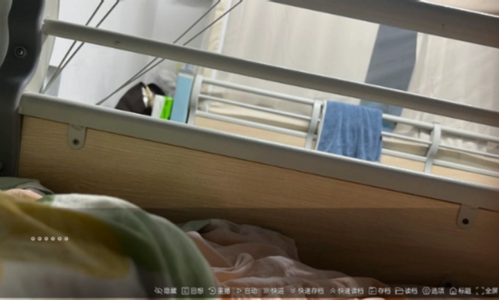 沙湖神大人求包养最新版