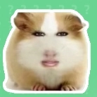 猪妞语音盒免费 v1.0